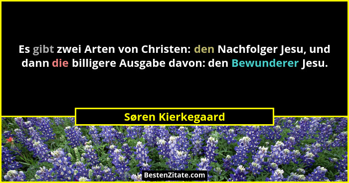 Es gibt zwei Arten von Christen: den Nachfolger Jesu, und dann die billigere Ausgabe davon: den Bewunderer Jesu.... - Søren Kierkegaard