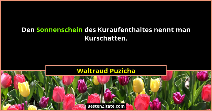 Den Sonnenschein des Kuraufenthaltes nennt man Kurschatten.... - Waltraud Puzicha