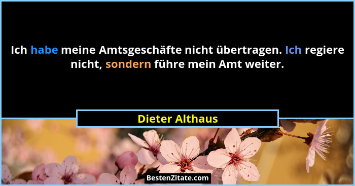Ich habe meine Amtsgeschäfte nicht übertragen. Ich regiere nicht, sondern führe mein Amt weiter.... - Dieter Althaus