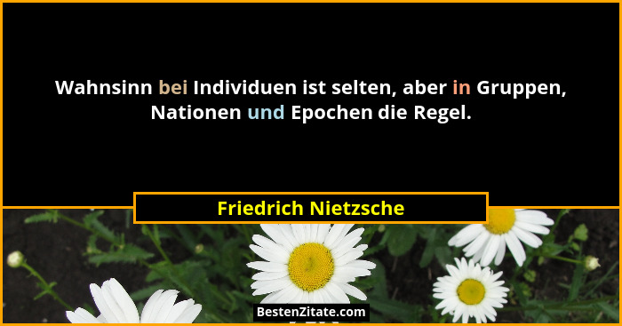 Wahnsinn bei Individuen ist selten, aber in Gruppen, Nationen und Epochen die Regel.... - Friedrich Nietzsche