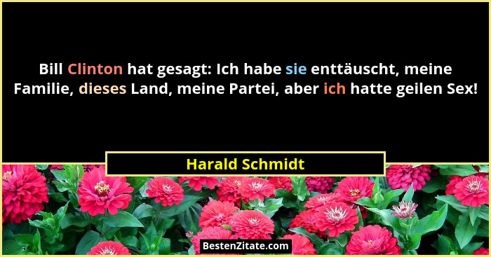Bill Clinton hat gesagt: Ich habe sie enttäuscht, meine Familie, dieses Land, meine Partei, aber ich hatte geilen Sex!... - Harald Schmidt