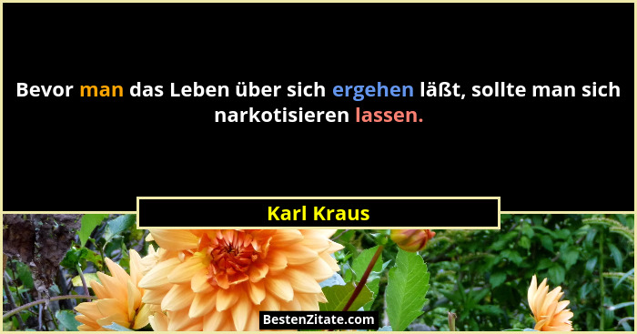 Bevor man das Leben über sich ergehen läßt, sollte man sich narkotisieren lassen.... - Karl Kraus