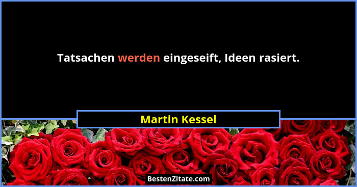 Tatsachen werden eingeseift, Ideen rasiert.... - Martin Kessel