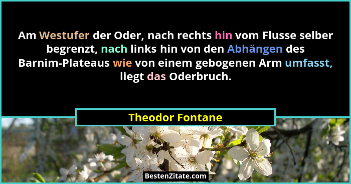 Am Westufer der Oder, nach rechts hin vom Flusse selber begrenzt, nach links hin von den Abhängen des Barnim-Plateaus wie von einem... - Theodor Fontane