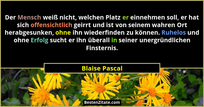 Der Mensch weiß nicht, welchen Platz er einnehmen soll, er hat sich offensichtlich geirrt und ist von seinem wahren Ort herabgesunken,... - Blaise Pascal