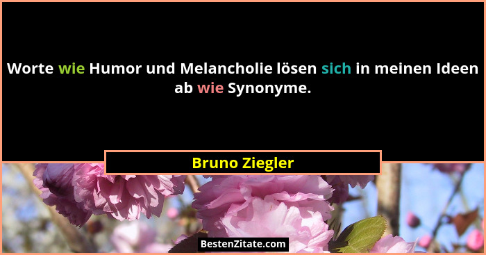 Worte wie Humor und Melancholie lösen sich in meinen Ideen ab wie Synonyme.... - Bruno Ziegler