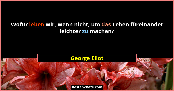 Wofür leben wir, wenn nicht, um das Leben füreinander leichter zu machen?... - George Eliot