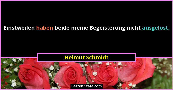 Einstweilen haben beide meine Begeisterung nicht ausgelöst.... - Helmut Schmidt