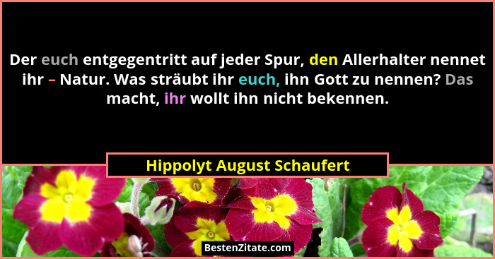 Der euch entgegentritt auf jeder Spur, den Allerhalter nennet ihr – Natur. Was sträubt ihr euch, ihn Gott zu nennen? Das m... - Hippolyt August Schaufert