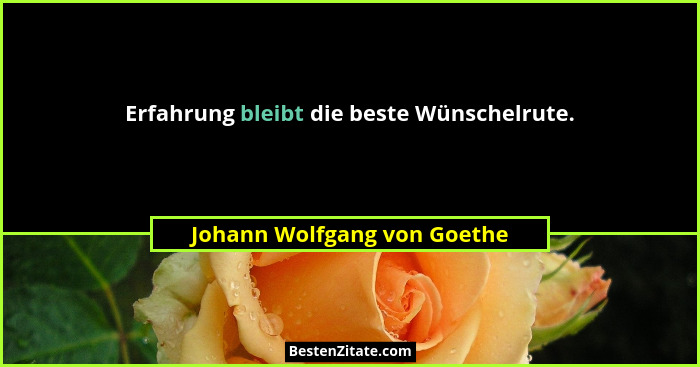 Erfahrung bleibt die beste Wünschelrute.... - Johann Wolfgang von Goethe