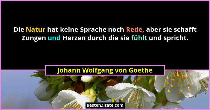 Die Natur hat keine Sprache noch Rede, aber sie schafft Zungen und Herzen durch die sie fühlt und spricht.... - Johann Wolfgang von Goethe