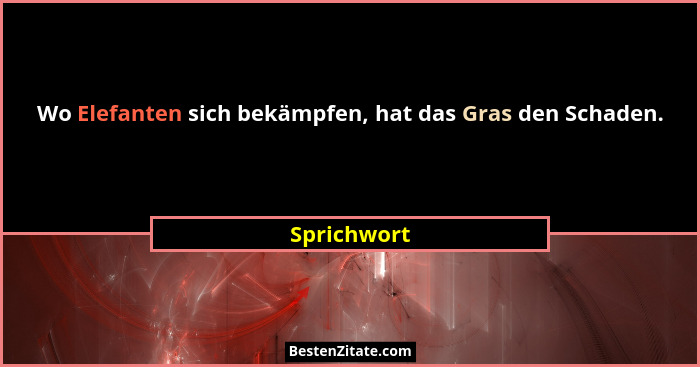 Wo Elefanten sich bekämpfen, hat das Gras den Schaden.... - Sprichwort