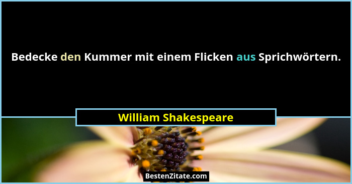 Bedecke den Kummer mit einem Flicken aus Sprichwörtern.... - William Shakespeare