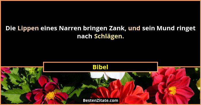 Die Lippen eines Narren bringen Zank, und sein Mund ringet nach Schlägen.... - Bibel