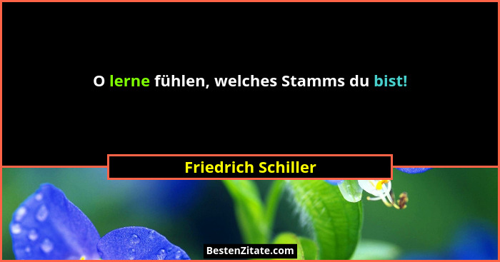 O lerne fühlen, welches Stamms du bist!... - Friedrich Schiller