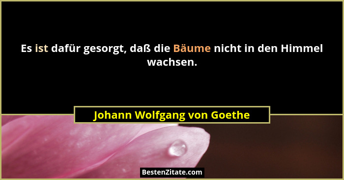 Es ist dafür gesorgt, daß die Bäume nicht in den Himmel wachsen.... - Johann Wolfgang von Goethe