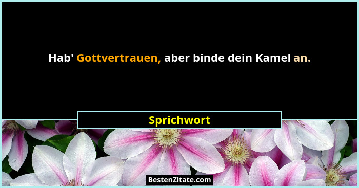 Hab' Gottvertrauen, aber binde dein Kamel an.... - Sprichwort