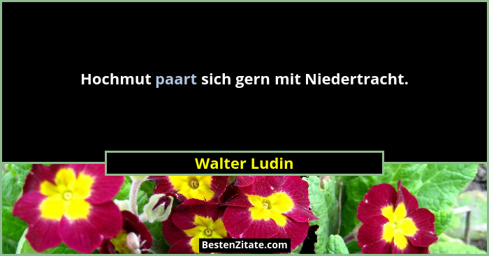 Hochmut paart sich gern mit Niedertracht.... - Walter Ludin