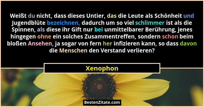 Weißt du nicht, dass dieses Untier, das die Leute als Schönheit und Jugendblüte bezeichnen, dadurch um so viel schlimmer ist als die Spinne... - Xenophon