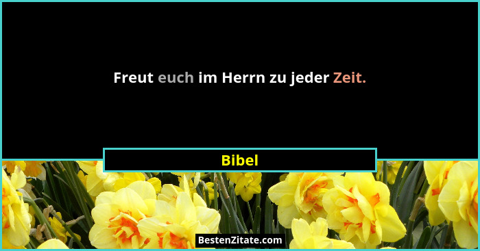 Freut euch im Herrn zu jeder Zeit.... - Bibel
