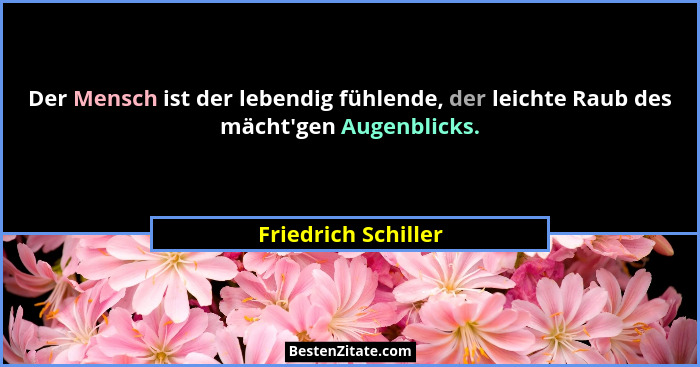 Der Mensch ist der lebendig fühlende, der leichte Raub des mächt'gen Augenblicks.... - Friedrich Schiller