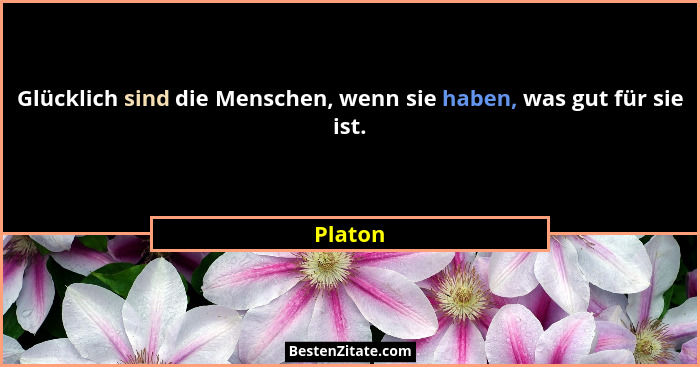 Glücklich sind die Menschen, wenn sie haben, was gut für sie ist.... - Platon