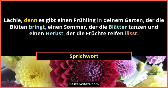 Lächle, denn es gibt einen Frühling in deinem Garten, der die Blüten bringt, einen Sommer, der die Blätter tanzen und einen Herbst, der d... - Sprichwort