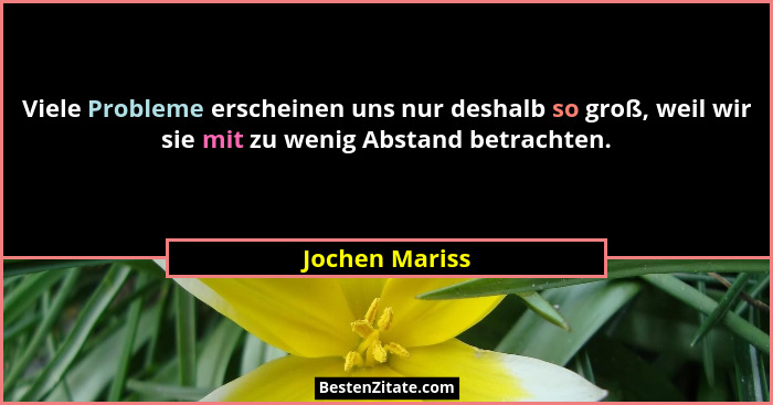 Viele Probleme erscheinen uns nur deshalb so groß, weil wir sie mit zu wenig Abstand betrachten.... - Jochen Mariss