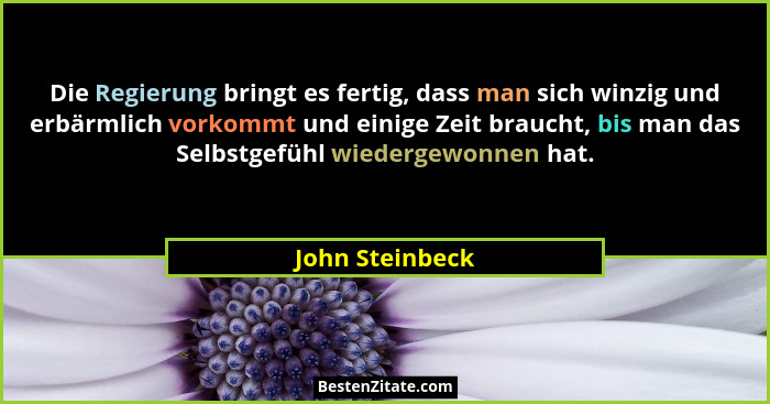 Die Regierung bringt es fertig, dass man sich winzig und erbärmlich vorkommt und einige Zeit braucht, bis man das Selbstgefühl wieder... - John Steinbeck