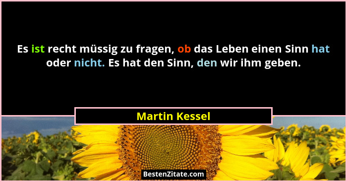 Es ist recht müssig zu fragen, ob das Leben einen Sinn hat oder nicht. Es hat den Sinn, den wir ihm geben.... - Martin Kessel