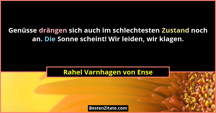 Genüsse drängen sich auch im schlechtesten Zustand noch an. Die Sonne scheint! Wir leiden, wir klagen.... - Rahel Varnhagen von Ense