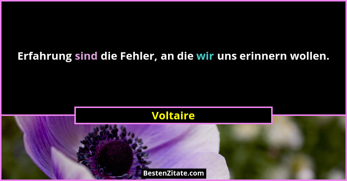 Erfahrung sind die Fehler, an die wir uns erinnern wollen.... - Voltaire