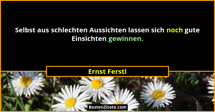 Selbst aus schlechten Aussichten lassen sich noch gute Einsichten gewinnen.... - Ernst Ferstl