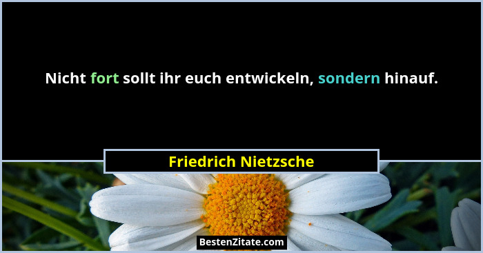 Nicht fort sollt ihr euch entwickeln, sondern hinauf.... - Friedrich Nietzsche