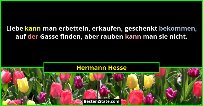 Liebe kann man erbetteln, erkaufen, geschenkt bekommen, auf der Gasse finden, aber rauben kann man sie nicht.... - Hermann Hesse