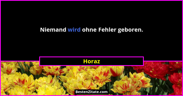 Niemand wird ohne Fehler geboren.... - Horaz