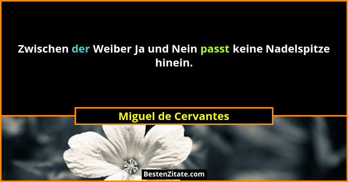 Zwischen der Weiber Ja und Nein passt keine Nadelspitze hinein.... - Miguel de Cervantes