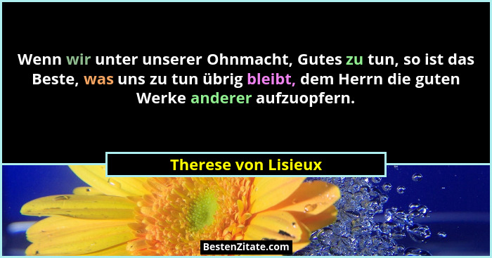 Wenn wir unter unserer Ohnmacht, Gutes zu tun, so ist das Beste, was uns zu tun übrig bleibt, dem Herrn die guten Werke anderer... - Therese von Lisieux