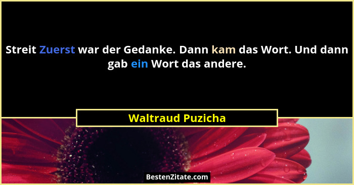 Streit Zuerst war der Gedanke. Dann kam das Wort. Und dann gab ein Wort das andere.... - Waltraud Puzicha