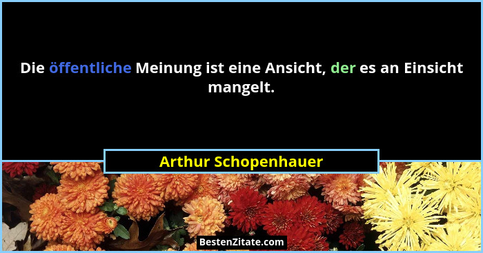 Die öffentliche Meinung ist eine Ansicht, der es an Einsicht mangelt.... - Arthur Schopenhauer
