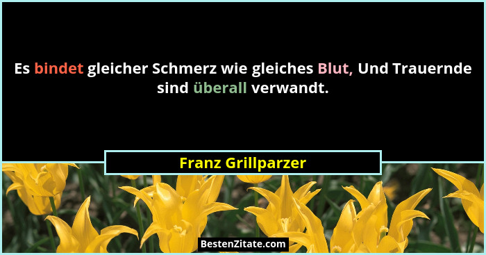 Es bindet gleicher Schmerz wie gleiches Blut, Und Trauernde sind überall verwandt.... - Franz Grillparzer