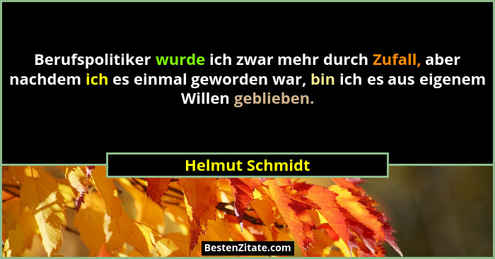 Berufspolitiker wurde ich zwar mehr durch Zufall, aber nachdem ich es einmal geworden war, bin ich es aus eigenem Willen geblieben.... - Helmut Schmidt