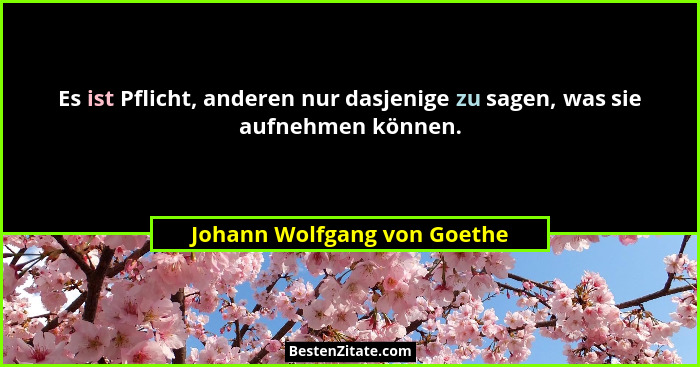 Es ist Pflicht, anderen nur dasjenige zu sagen, was sie aufnehmen können.... - Johann Wolfgang von Goethe