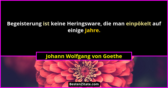 Begeisterung ist keine Heringsware, die man einpökelt auf einige Jahre.... - Johann Wolfgang von Goethe