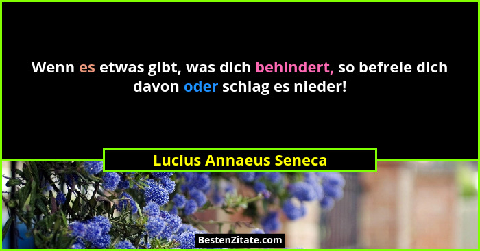 Wenn es etwas gibt, was dich behindert, so befreie dich davon oder schlag es nieder!... - Lucius Annaeus Seneca