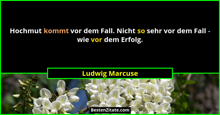 Hochmut kommt vor dem Fall. Nicht so sehr vor dem Fall - wie vor dem Erfolg.... - Ludwig Marcuse