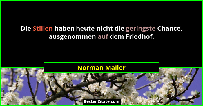 Die Stillen haben heute nicht die geringste Chance, ausgenommen auf dem Friedhof.... - Norman Mailer