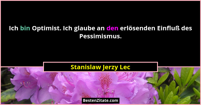 Ich bin Optimist. Ich glaube an den erlösenden Einfluß des Pessimismus.... - Stanislaw Jerzy Lec