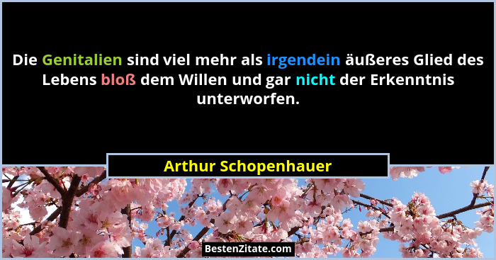 Die Genitalien sind viel mehr als irgendein äußeres Glied des Lebens bloß dem Willen und gar nicht der Erkenntnis unterworfen.... - Arthur Schopenhauer