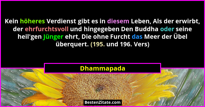 Kein höheres Verdienst gibt es in diesem Leben, Als der erwirbt, der ehrfurchtsvoll und hingegeben Den Buddha oder seine heil'gen Jün... - Dhammapada